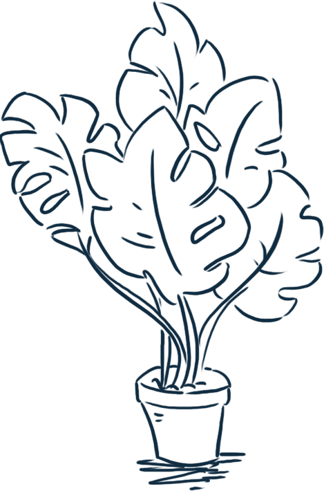 Plant Illustration